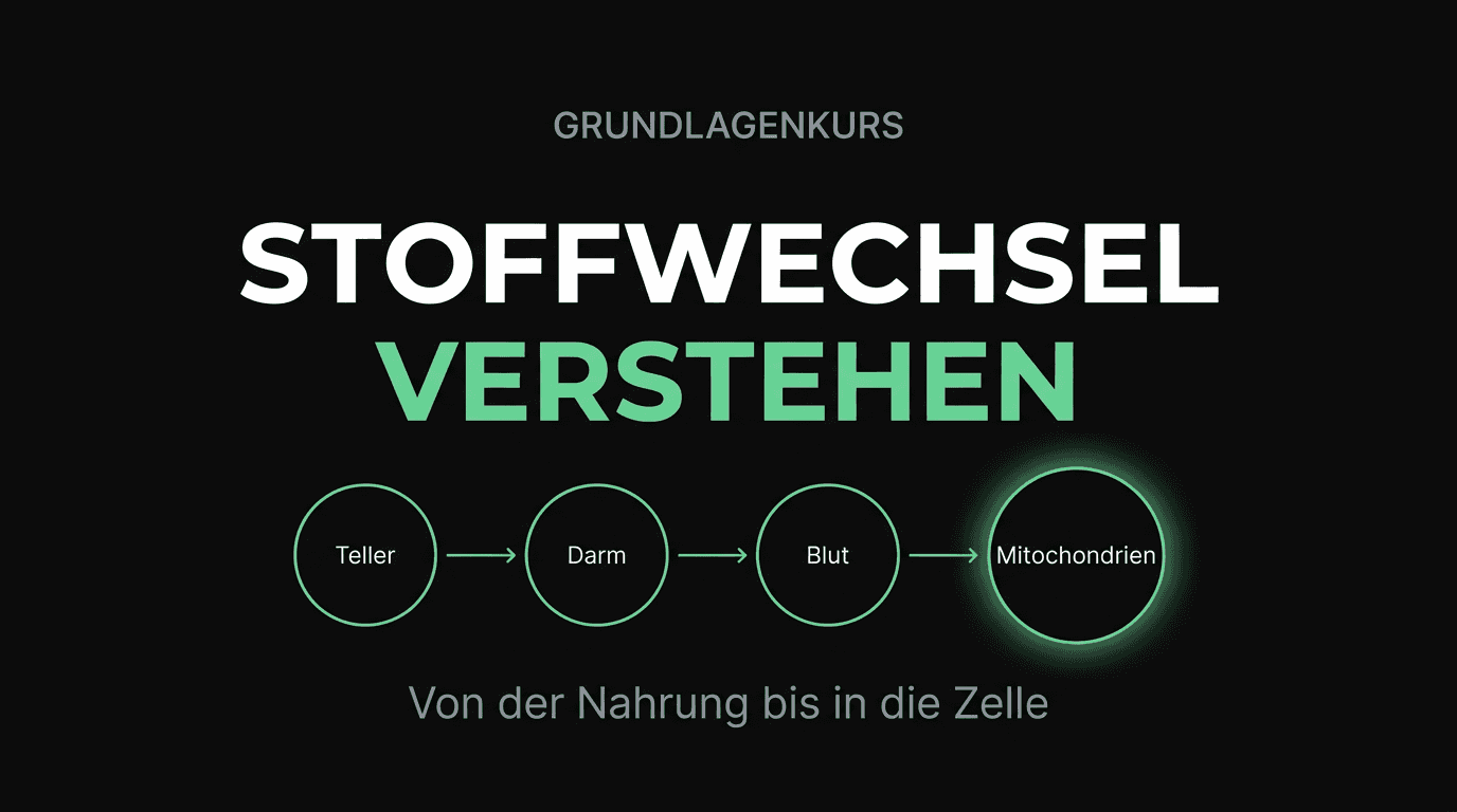Stoffwechsel verstehen
