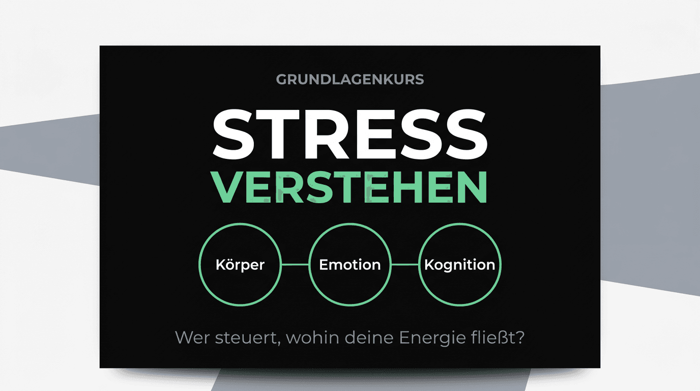 Stress verstehen
