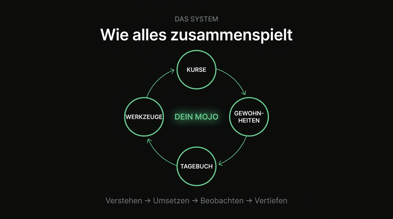 Lebensenergie verstehen