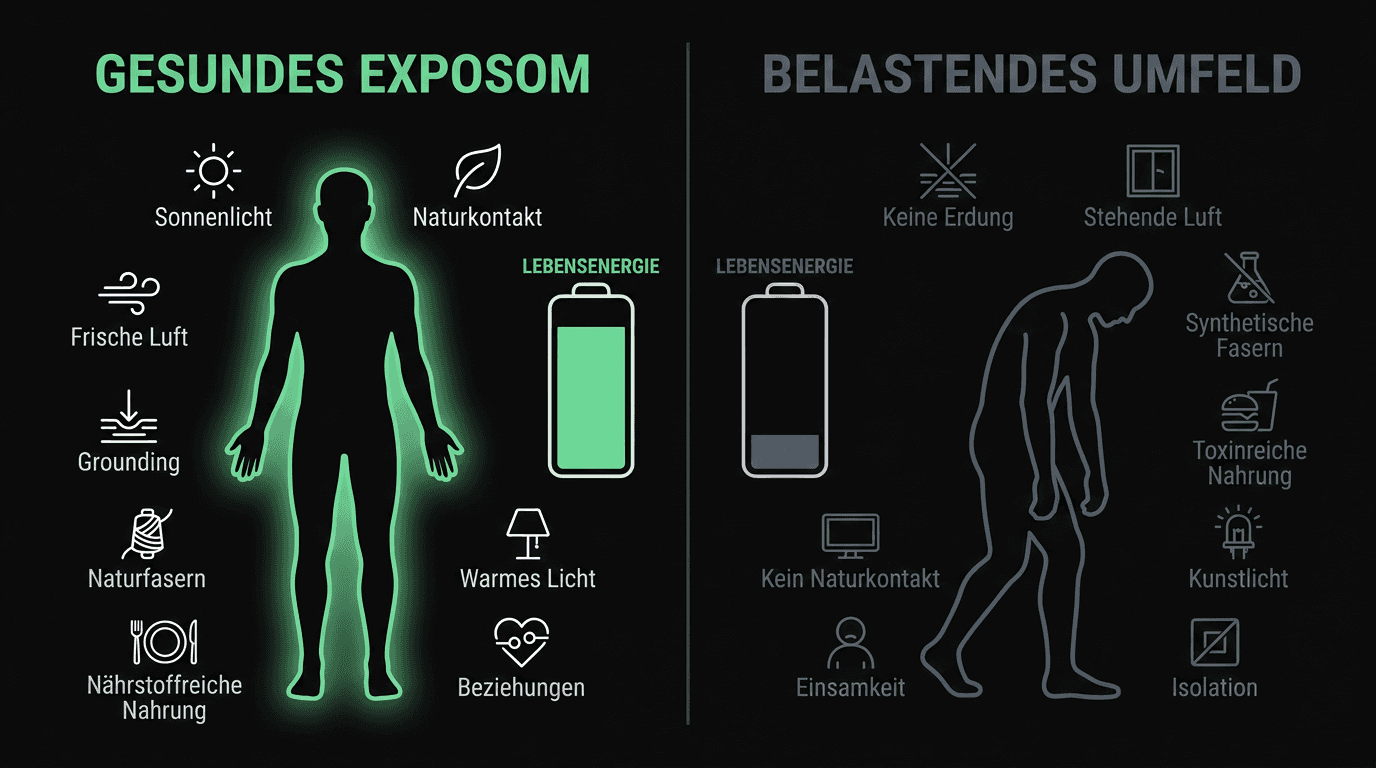 Gesundes Exposom vs. belastendes Umfeld — und was es mit deiner LEBENSENERGIE macht