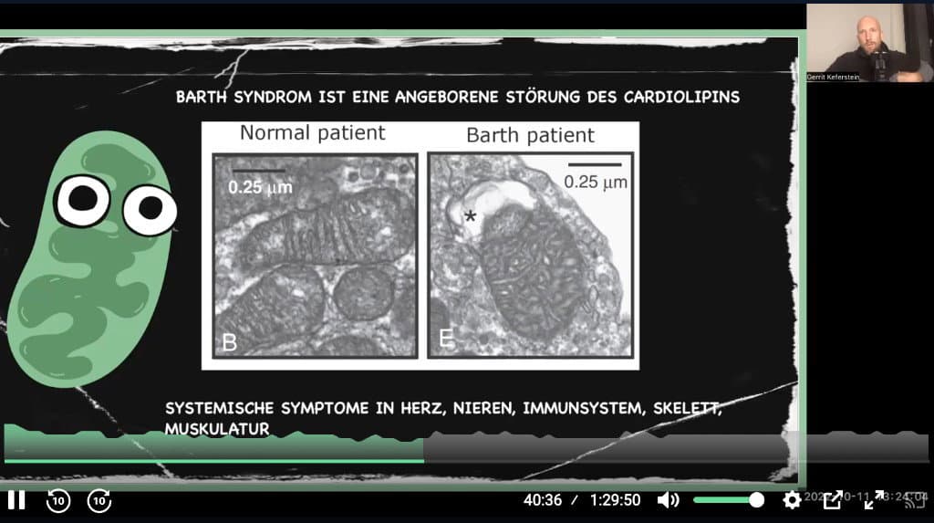 ÖLWECHSEL — Linolsäure & Mitochondrien