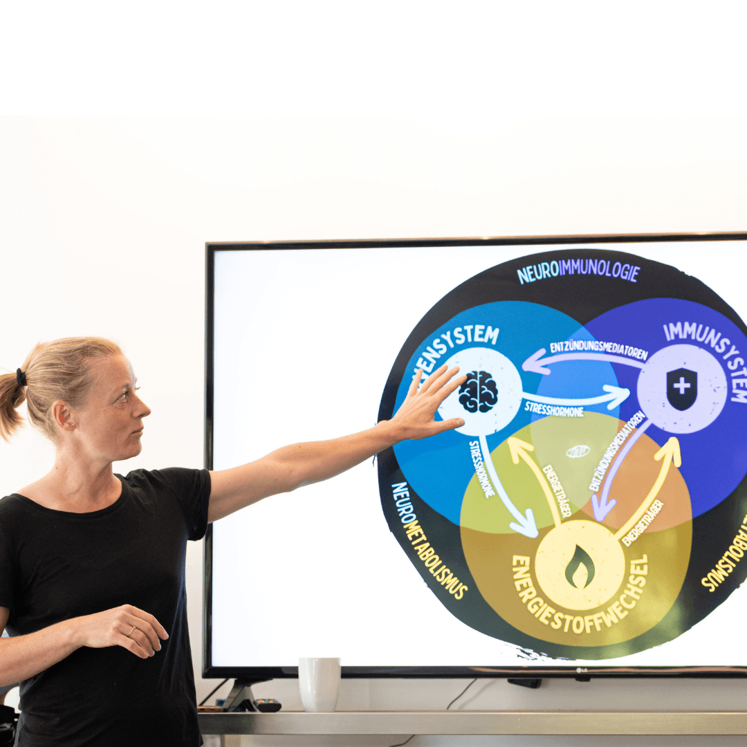 Grundausbildung Regenerationsmedizin - Werde Experte für wissenschaftlich fundierte Regeneration