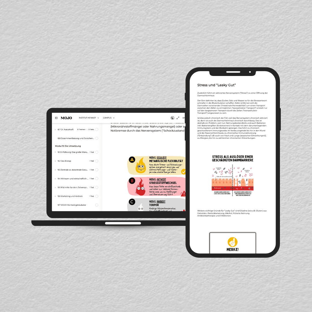 Multimediale Lernerfahrung
