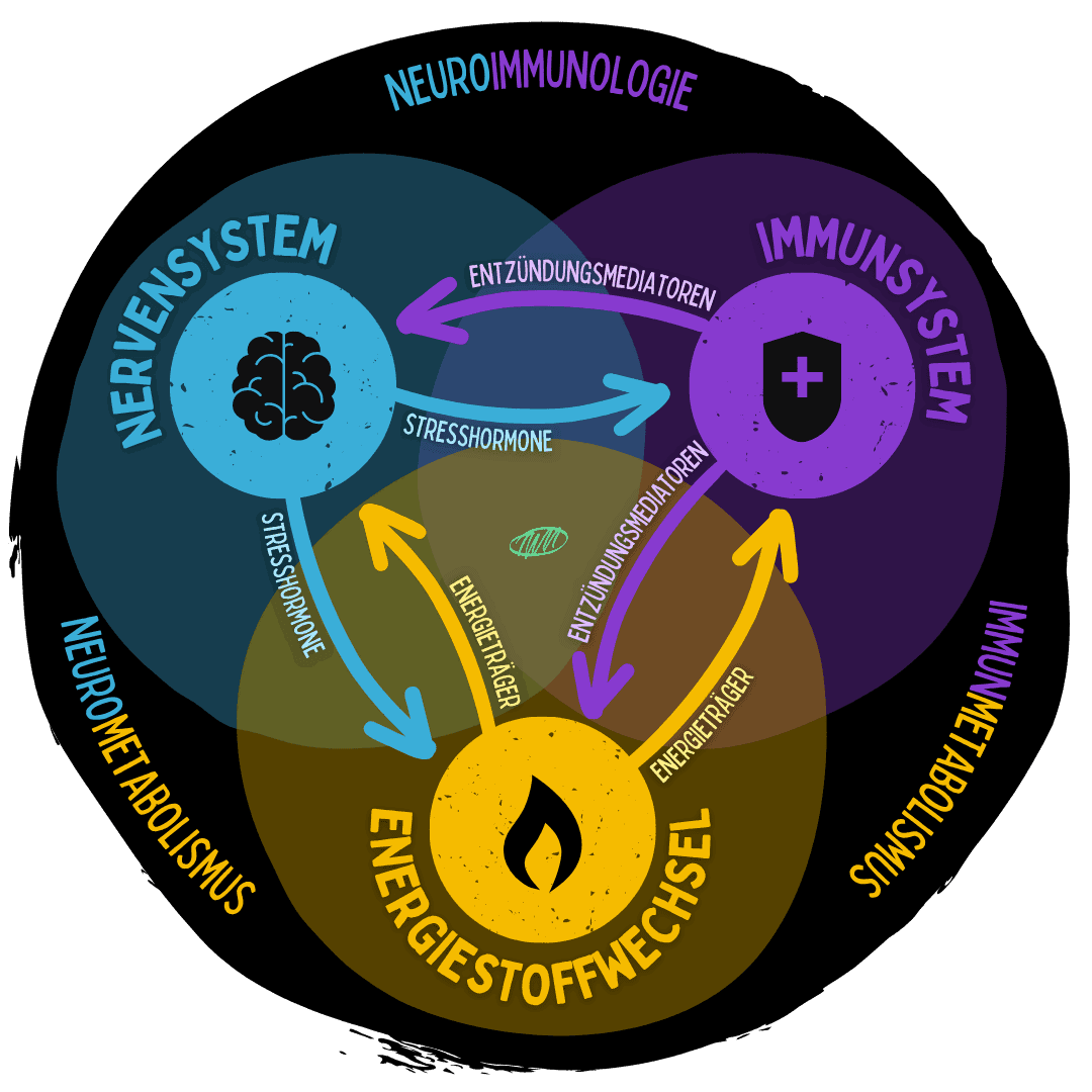 RMOS – Systemmodell der drei Systeme