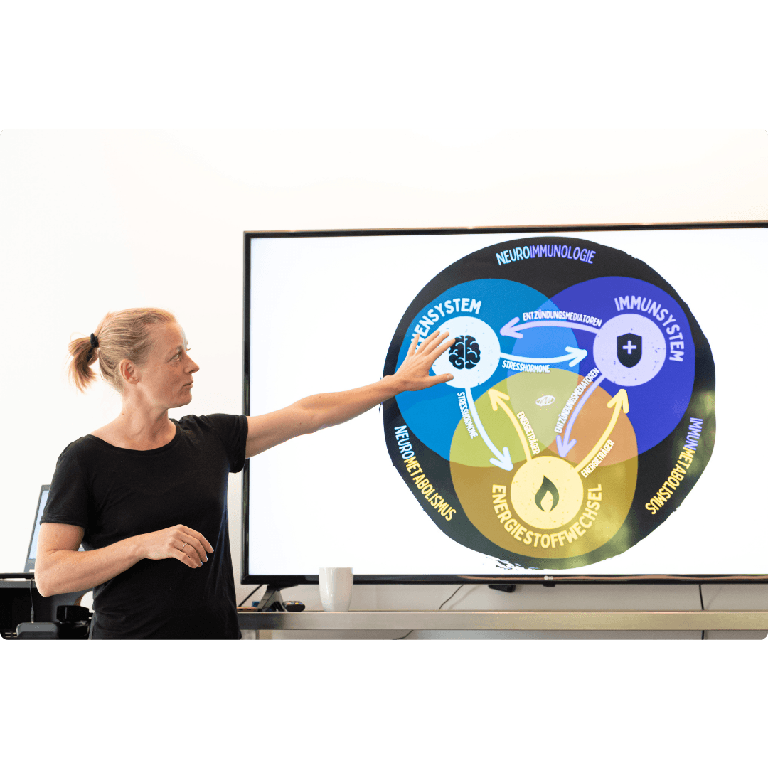 MCAS Mentoring – Übersicht der Regeneration