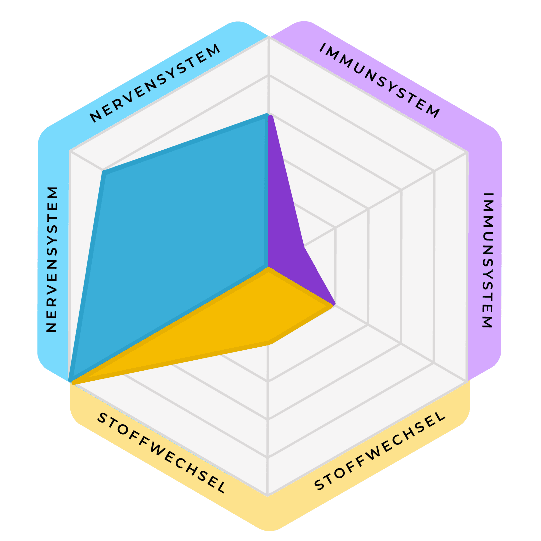 MOJO Analyse - Die drei Körpersysteme im Detail